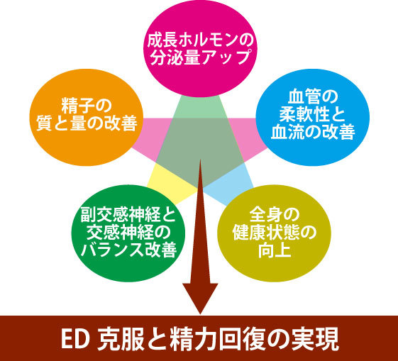 GHプレミアムの期待効果