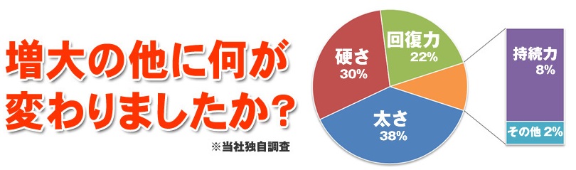 ライゼックスの増大以外の効果